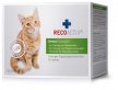 Details von RECOACTIV Immun Katze - zur Stärkung des Immunsystems Thumb