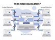 Backlinks - Bewertung und Linkaufbau