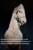 Details von Areion ist in der griechischen Mythologie ein Wunderpferd Thumb