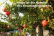 Details von Rhoio ist in der griechischen Mythologie die Nymphe des Granatapfelbaumes Thumb