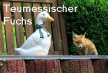 Details von Teumessischer Fuchs: Menschenfresser Ungeheuer Thumb