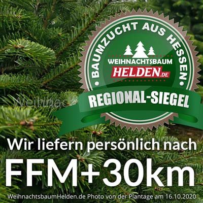 Weihnachtsbaum Helden Frankfurt