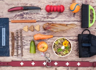 Alles für Tierbedarf | Jetzt entdecken bei Interestshare