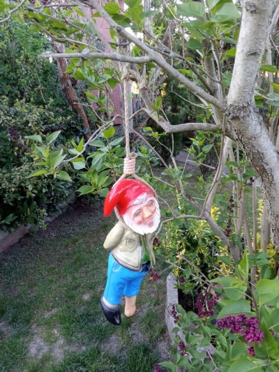 Pankower Kleingartenwesen