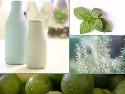  » Limetten-Rosmarin-Joghurt-Eis