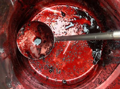 Marmelade mit Stevia - Alternative für eine kohlenhydratarme Ernährung