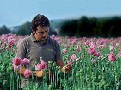 Hofeigene Saaten kaltgepresst - Erlenbacher lmühle ❤️