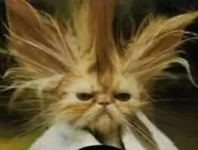 Unter Strom stehen: Klärung dieser Redewendung - PR-Echo - Das kostenfreie Presseportal