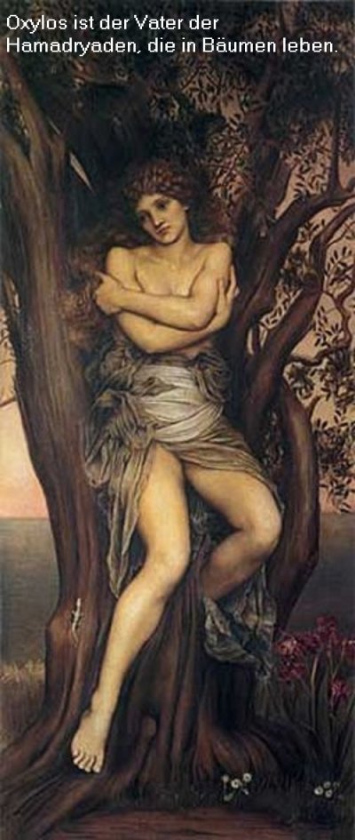 Oxylos ist in der griechischen Mythologie der Vater der Hamadryaden