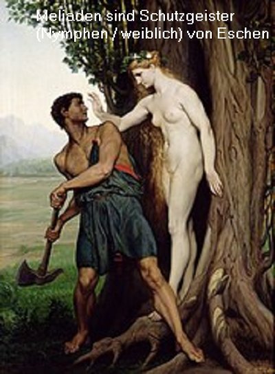 Die Meliaden sind in der griechischen Mythologie Eschennymphen