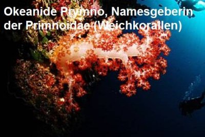 Prymno ist in der griechischen Mythologie eine Okeanide