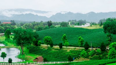 Ganzheitliche Gesundheitsvorsorge - Grundlage zu mehr Lebensqualität 
