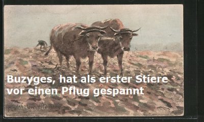Buzyges hat als erster Mensch Stiere vor einen Pflug gespannt