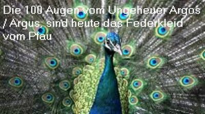 Argos: Riesiges Ungeheuer mit 100 Augen