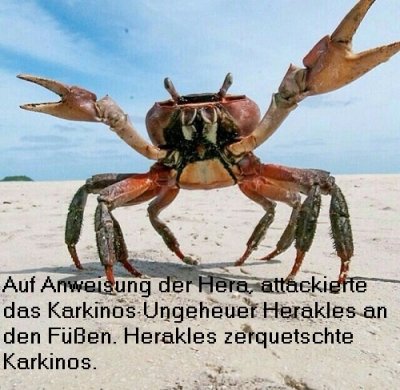 Ungeheuer Karkinos: Riesiger Krebs