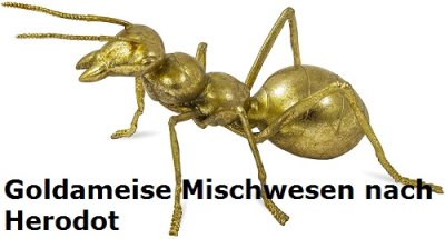 Goldameise Mischwesen
