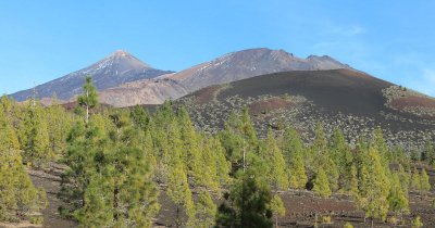 Last-Minute Urlaub auf Teneriffa buchen