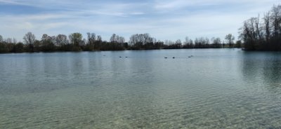Waldschwaigsee - Früher Geheimtipp - heute Hotspot